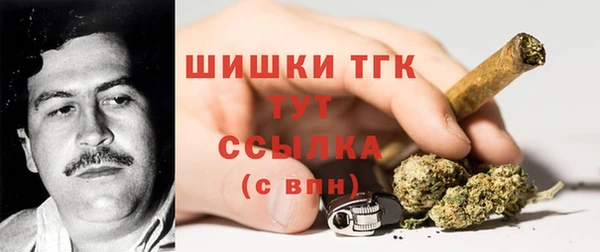 spice Липки