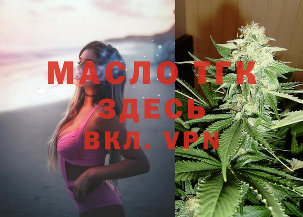 шишки Долгопрудный