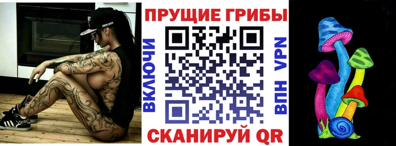 Галлюциногенные грибы Cubensis  купить   Брюховецкая 